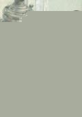 akunin_bulldogbianco_big