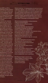 elkostseasonsautumn-4