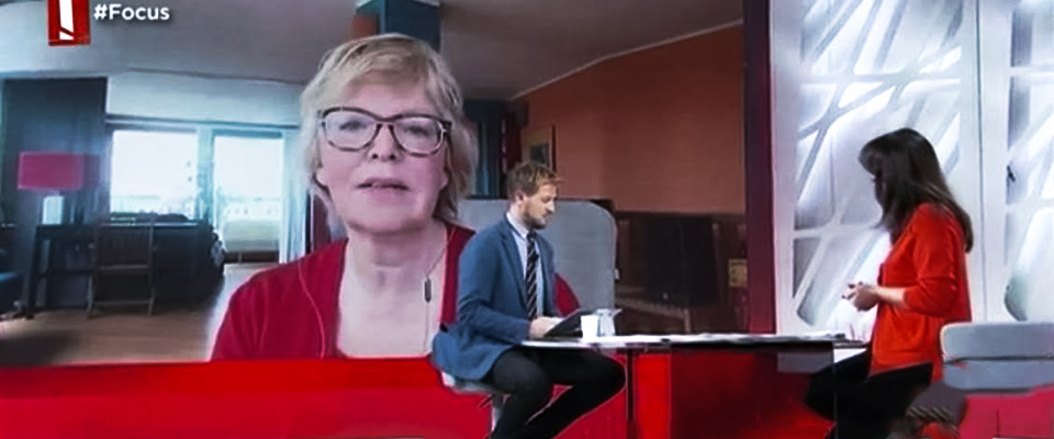 studi_ek.jpg